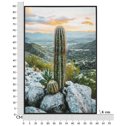 Stampa Su Tela Cactus A Paesaggio Desertico Con Cornice, 60x90 Cm - Foto 7
