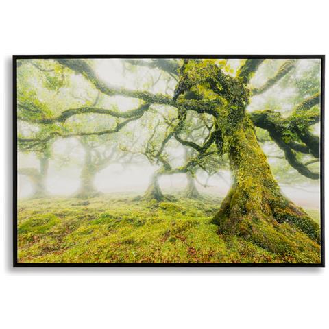 Stampa Su Tela Foresta Paesaggio Boschivo Con Cornice, 90x60 Cm - Foto 1