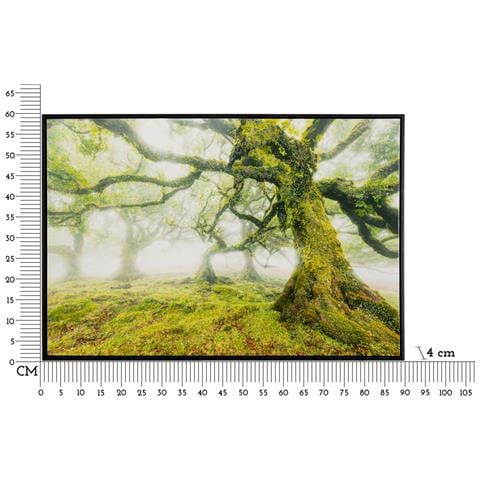 Stampa Su Tela Foresta Paesaggio Boschivo Con Cornice, 90x60 Cm - Foto 7