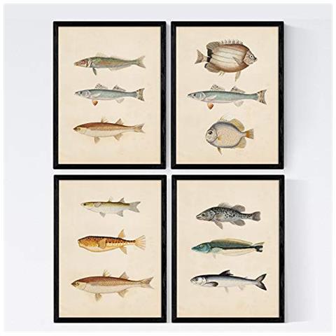Set Di 4 Stampe Di Effetto Di Pesce Colorato Composizione Di 12 Pesci Diversi In Vecchia Carta Poster Della Priorità Bassa Senza Cornice A4 - Foto 1