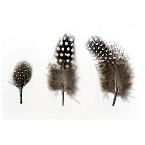 Piume Naturali Da 2 A 6 Cm - 3 G - Foto 1