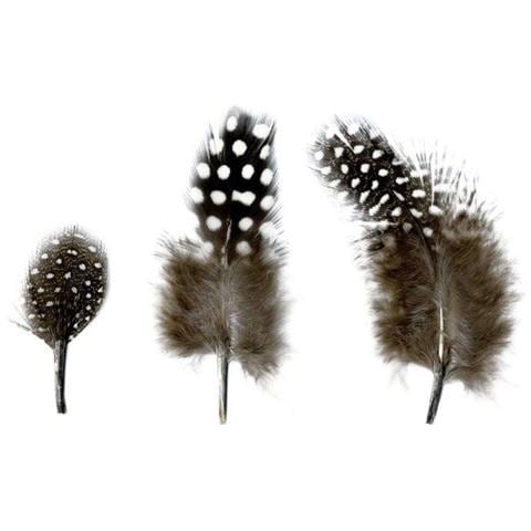 Piume Naturali Da 2 A 6 Cm - 3 G - Foto 3