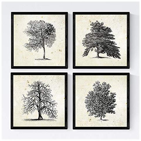 Set Di 4 Stampe Fogli Di Alberi Alberi Senza Frutta Sfondo D'epoca Vecchia Carta Poster Di Carta E Di Inchiostri Senza Cornice 20x20 Cm - Foto 1