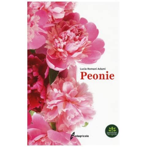Lucia Romani Adami - Peonie - Foto 1