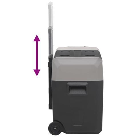 Borsa Frigo con Manico e Ruote Nera e Grigia 50 L Polipropilene - Foto 2