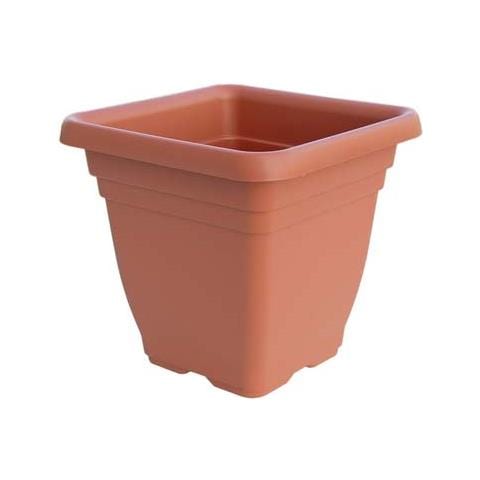 Vaso Quadro Laurus - Foto 1