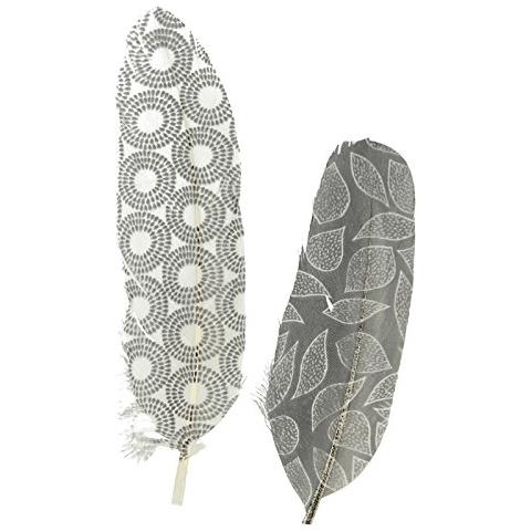 6 Piume Con Motivi ? ? bianchi E Neri - Foto 1