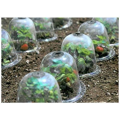 50-1110 Confezione Da 3 Baby Vittoriana Bell Trasparenti 15x20x25 Cm - Foto 2