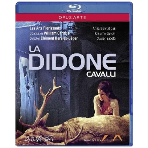 Brd Cavalli - Didone - Foto 1