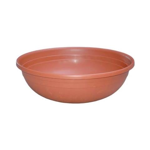 Ciotola Clivia - Foto 1