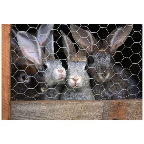 40m Rete Metallica Esagonale, Rete Per Polli, Gabbia Per Conigli, Recinzione Per Conigli 50cm 25mm X 25mm - Foto 7