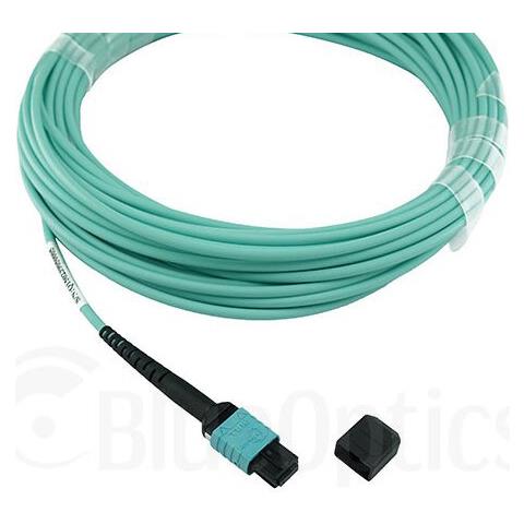 QSRCABLE3M cavo InfiniBand e in fibra ottica 3 m MPO Colore acqua - Foto 2