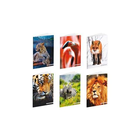 Maxiquaderno A4 36fg+2 100gr 4mm Wild Be More Special 2020 - Foto 1