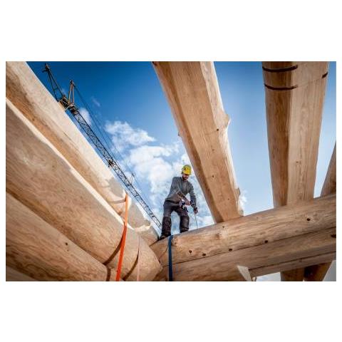 BS 18 LTX BL Q I 2000 Giri /min Senza chiave 1,7 kg Nero, Verde - Foto 2