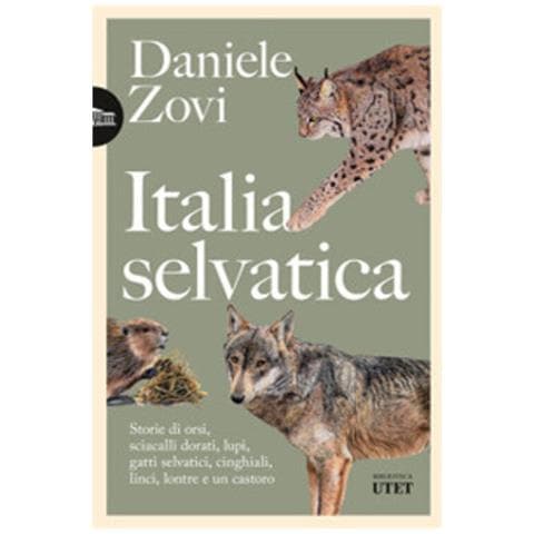 Daniele Zovi - Italia Selvatica. Storie Di Orsi, Lupi, Gatti Selvatici, Cinghiali, Lontre, Sciacalli Dorati, Linci E Un Castoro - Foto 2