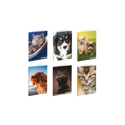Maxiquaderno A4 36fg+2 100gr Rigo Di 3a Baby Be More Special 2020 - Foto 1
