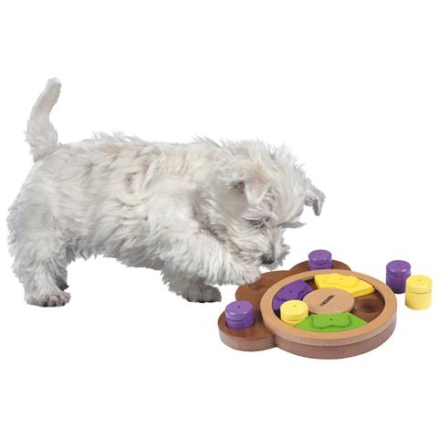 Giocattolo Per Animali Per Pensare E Imparare Paw 22x23x4 Cm - Foto 4