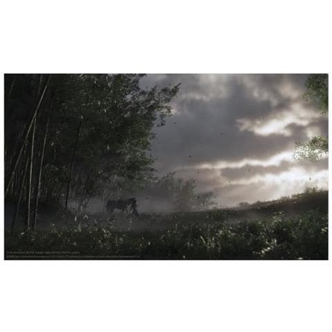 Ghost Of Tsushima Jeu Ps4 - Foto 2