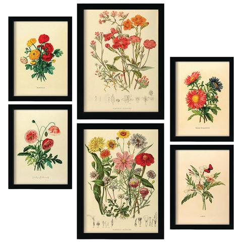 Set Di 6 Stampe Bouquet 2 In Stampe Vintage, Dipinti Decorativi Estetici Per Il Tuo Soggiorno, Camera Da Letto, Casa A3 & A4 Senza Cornice - Foto 1