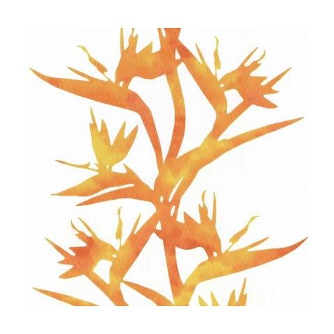 A. s. Cr? ation 813251 - Carta Da Parati, Collezione Wallness - Foto 1