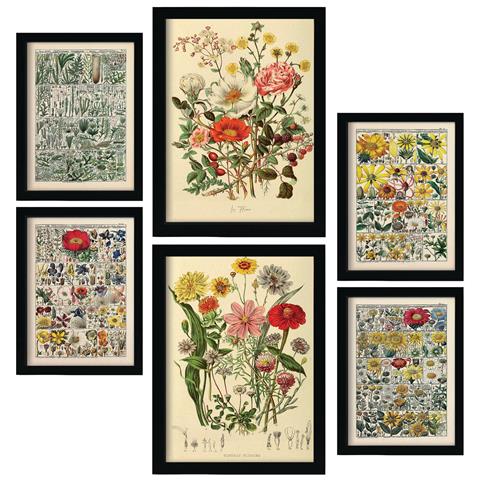 Set Di 6 Stampe Anatomia Dei Fiori In Stampe Vintage, Dipinti Decorativi Estetici Per Il Tuo Soggiorno, Camera Da Letto, Casa A3 & A4 Senza Cornice - Foto 1