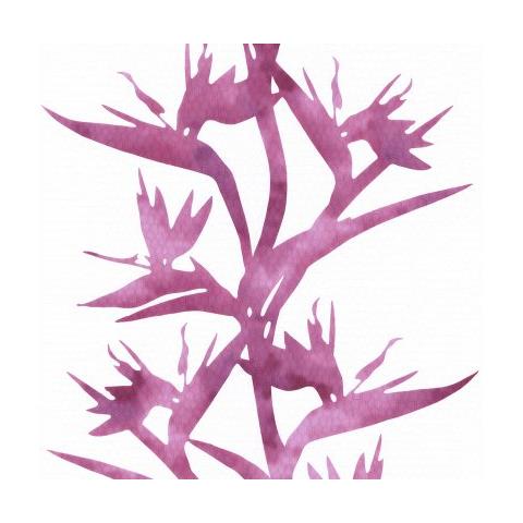 A. s. Cr? ation 813237 - Carta Da Parati""wallness"", In Tessuto Non Tessuto, Motivo""ramoscelli Con Foglie"" - Foto 1