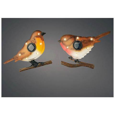 Luce Solare 894881 Uccello - Foto 2