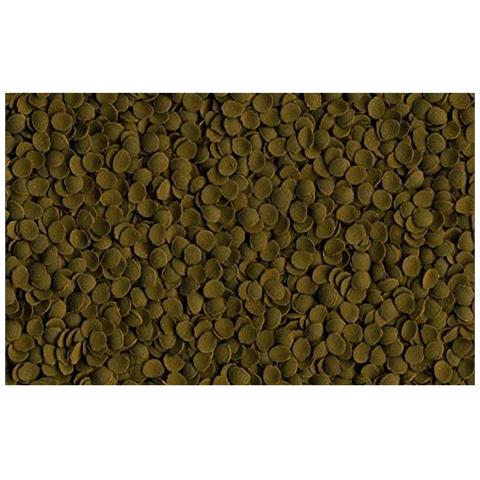 Tetra Tetrapleco Wafer, 250 Ml- - Foto 3