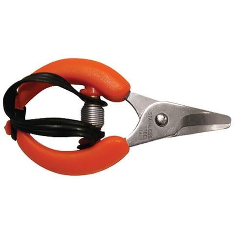 Forbici Cogliagrumi - Cm 10 - Foto 3