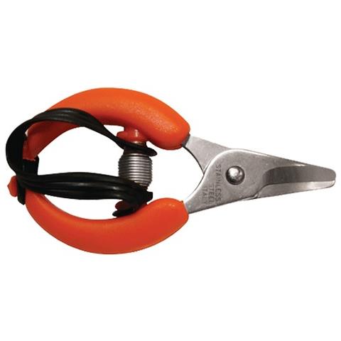 Forbici Cogliagrumi - Cm 10 - Foto 1