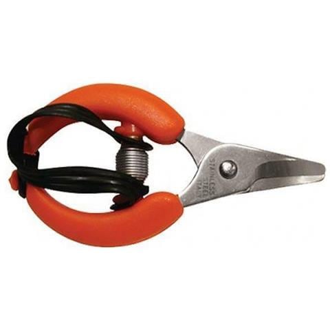 Forbici Cogliagrumi - Cm 10 - Foto 2