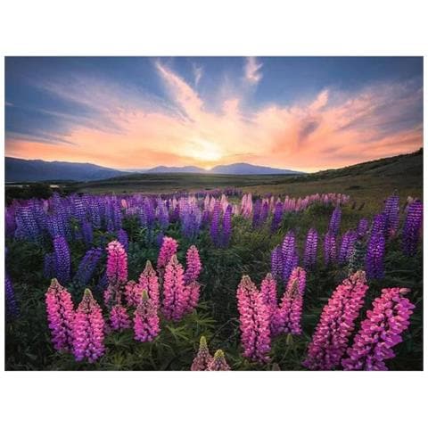 Puzzle 17492 Lupines 500 Pezzi - Foto 1