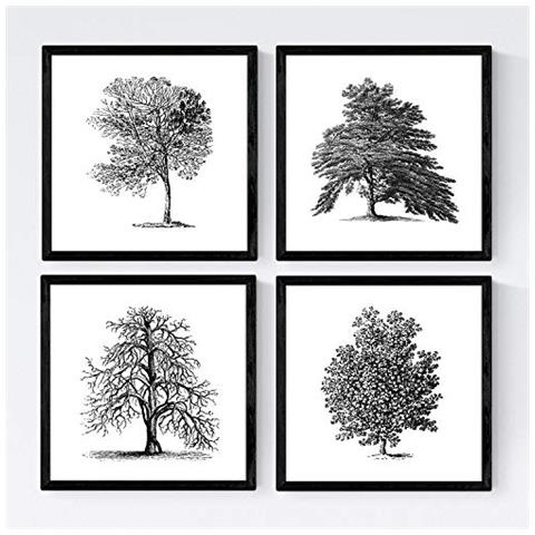 Set Di 4 Stampe Fogli Di Alberi Alberi Senza Frutta Di Taglia Vecchio Sfondo Carta Carta Da Poster E Inchiostri Di Alta Qualità Senza Cornice 30x30 Cm - Foto 1