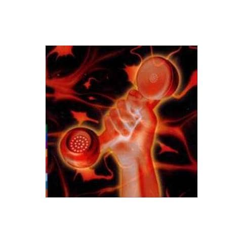 Cd Gabriel Peter - Secret World Live - Foto 1