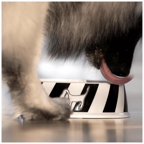 Ciotola Per Cani In Bambù - 1000ml - Foto 3