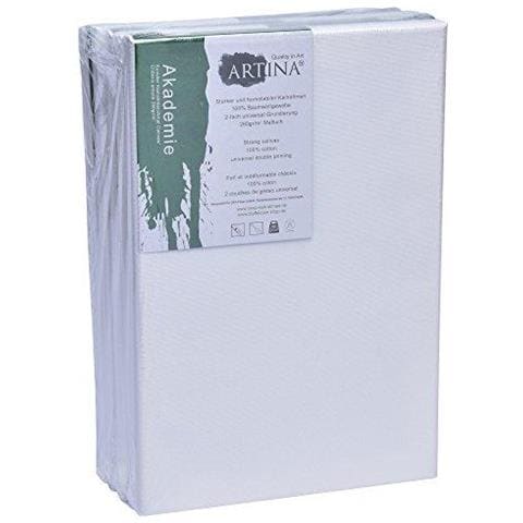 Academy Blank Tele 5 Set 20x30 Cm 100 Cotone A4 Artista Fsc Certificato Della Tela Di Canapa Per La Pittura Incorniciato Stretched Doppio Primed - Foto 4