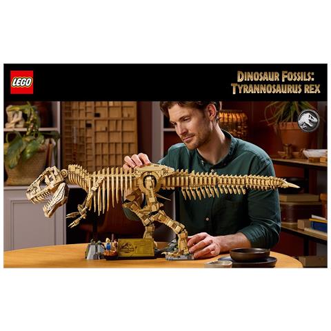 Fossili di dinosauro: Tirannosauro - Foto 2