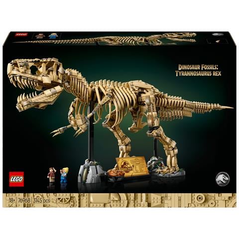 Fossili di dinosauro: Tirannosauro - Foto 1