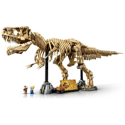 Fossili di dinosauro: Tirannosauro - Foto 38