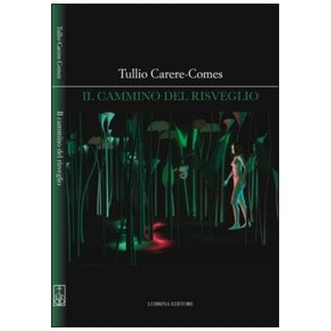 Tullio CarereComes - Il cammino del risveglio - Foto 2