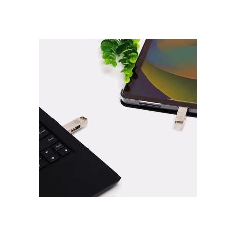 FD206C-256 unità flash USB 256 GB USB Type-A / USB Type-C 3.2 Gen 2 (3.1 Gen 2) Argento - Foto 2