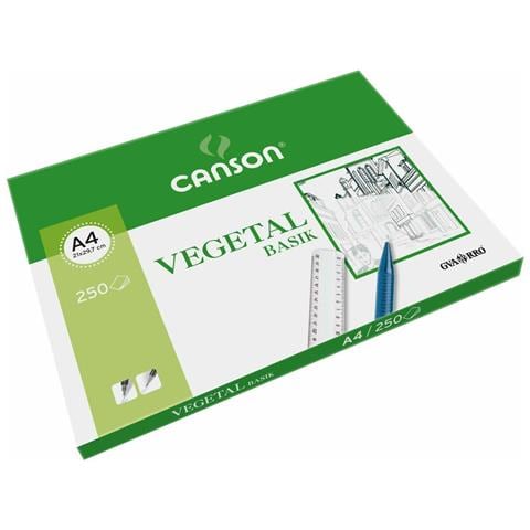 Carta Vegetale Canson Basik A4 250 Foglie 90 G /m² (210 X 297 Mm) - Foto 1