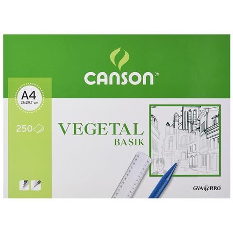 Carta Vegetale Canson Basik A4 250 Foglie 90 G /m² (210 X 297 Mm) - Foto 2