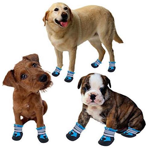Dog Shoes - Cane Guscio Protettivo Set Di 4 Boots Per Cani Paws Scarpe Cane Impermeabili Con Le Cinghie Registrabili Riflettente E Anti Slip Sole Per Le Medie E Cani Di Taglia Grande (m) - Foto 2