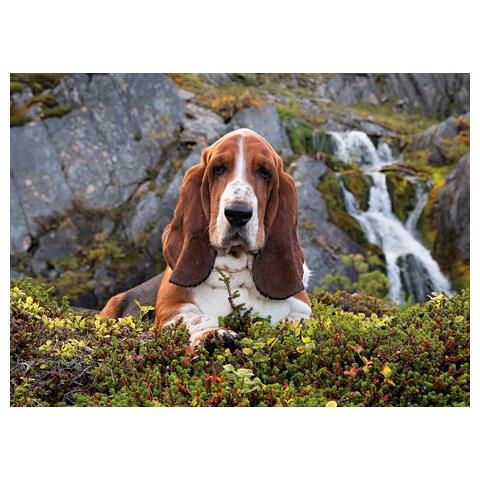 CLM39511 Puzzle da 1000 pezzi - Charlie Brown - Foto 1