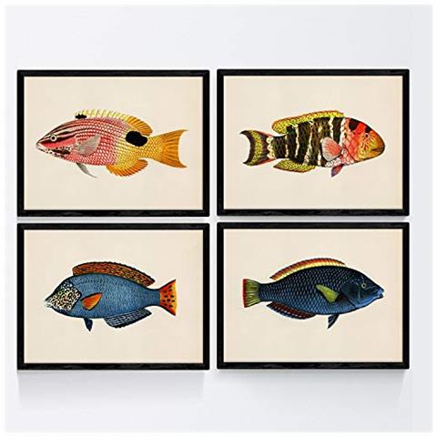 Set Di 4 Stampe Con Effetto Di Pesce Colorato Effetto Blu Tono Giallo Composizione Di 4 Diversi Pesci Carta Vecchio Sfondo Senza Cornice A4 - Foto 1
