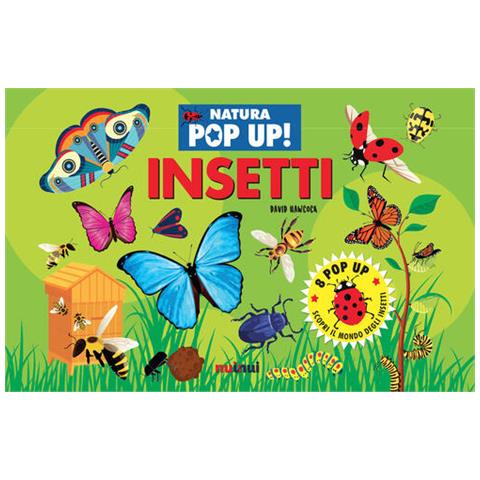 David Hawcock - Insetti. Natura Pop Up! Ediz. A Colori - Foto 2