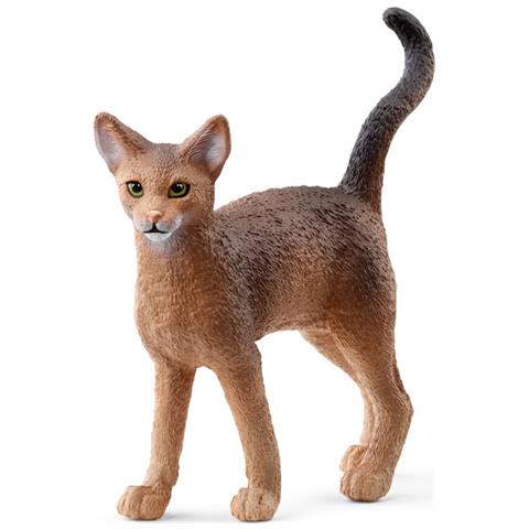 GATTO ABISSINO - Foto 2