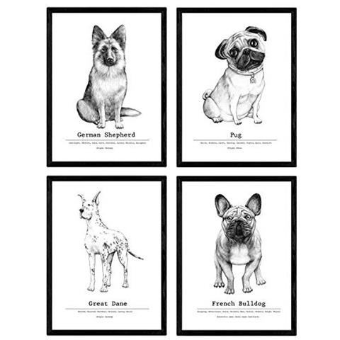 Set Di 4 Stampe Propar Della Descrizione Della Gara. Fogli Decorativi Di Cani Senza Cornice A4 - Foto 1