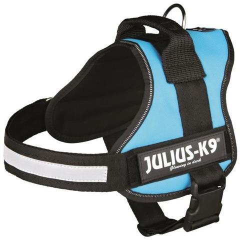 Pettorina Power Azzurro M-L: 58-76 cm - Foto 1